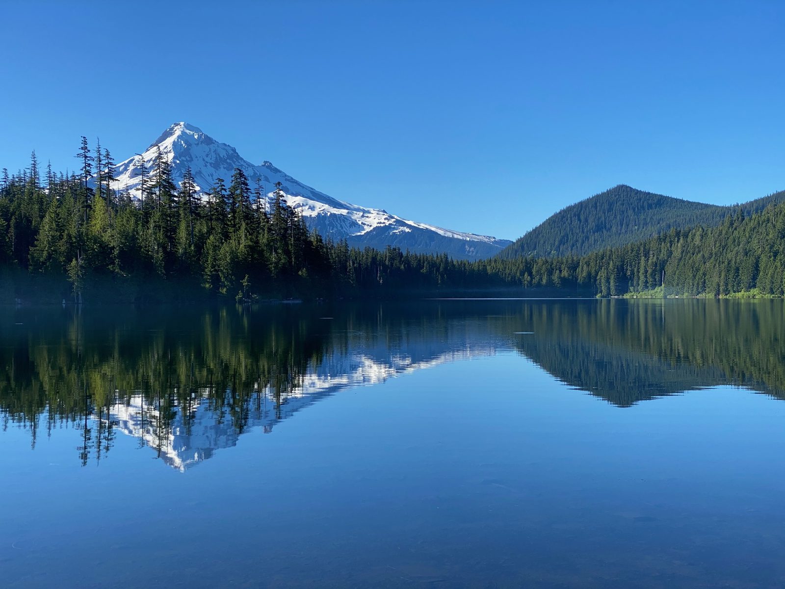 Mount Hood reflected in a still lake